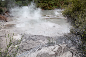 new zealand hot spring