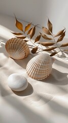 Three Seashells on White Surface