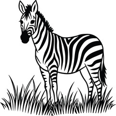 Zebra coloring pages. Zebra Animal outline. Animal line art