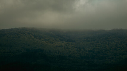 Beautiful landscape of the forest in the fog. View from above.