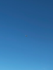 Plane flying in the sky