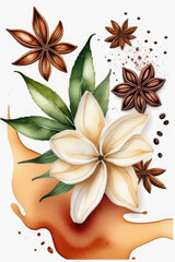 Vanilla spices, sticks and vanilla flowers on white background in watercolor style.