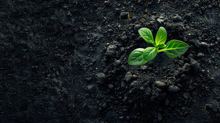 Vibrant Green Growth in Dark Soil: Eco-friendly Agriculture Advertisement