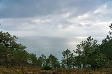 Obraz premium Pins maritimes bravant la mer d'Iroise, toile de fond de la presqu'île de Crozon, Bretagne. Un spectacle saisissant où nature et histoire se rejoignent.