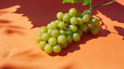 Fototapeta premium A bunch of crisp green grapes showcased on an orange background, captured in a contemporary photography style. The vibrant green hues of the grapes complement the warm tones of the backdrop