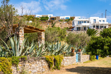 Holiday apartments and houses in tropical gardens of Marina Gialos village, Sifnos island, Greece