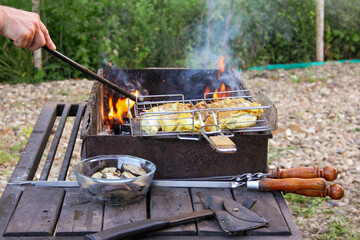 grilled meat on the grill