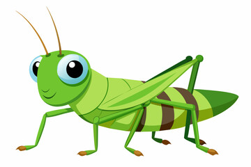 grasshopper cartoon vector illustration