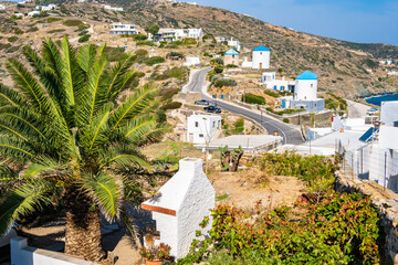 View of windmills along road and palm tree from Kastro village, Sifnos island, Greece