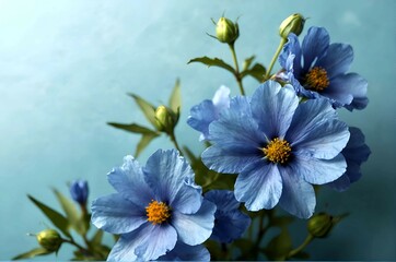 Blue flowers on a blue background 
