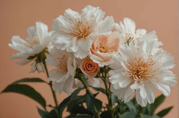 White flowers on a peach background 
