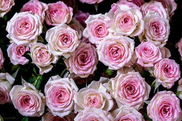 bouquet of roses