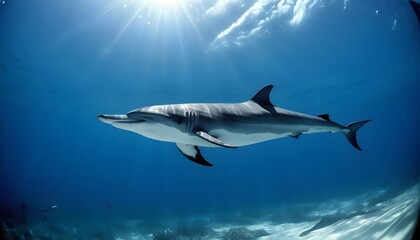 Obraz premium world oceans day with a view of ocean including fishes shark fishes and whales along sunrays and clouds