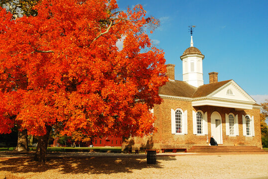 A tree displays brilliant autumn colors near the historic buildings in Williamsburg, Virginia