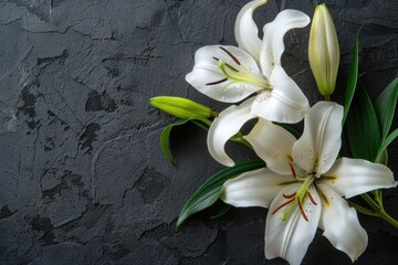 A white flower with green leaves is on a black background with a copy space