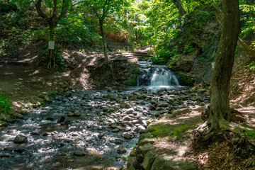 Obraz premium 平和の滝8北海道札幌市西区平和）