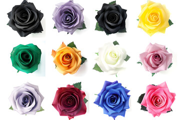 Twelve colorful roses in a grid pattern varying in shades from yellow to black - Powered by Adobe