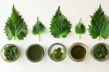 Nettle extracts and leaves display - Powered by Adobe