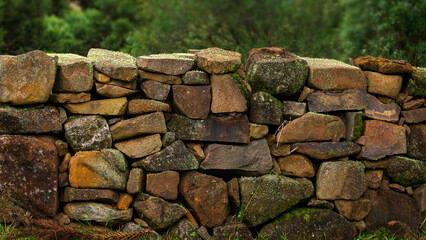 Stone wall with mosses and lichens