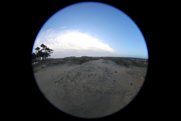 Landscape in National Park Zuid-Kennemerland, fisheye circle effect