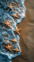 Starfish Resting on Sandy Beach by Ocean