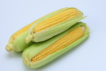 three cobs of ripe corn with leaves close-up