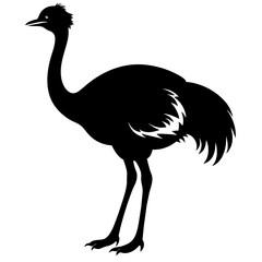 Emu bird vector silhouette, black color silhouette, white background (31)