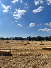 Fototapeta premium hay bales in the field