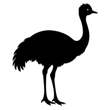 recommend clip art: Emu bird vector silhouette, black color silhouette, white background (28)