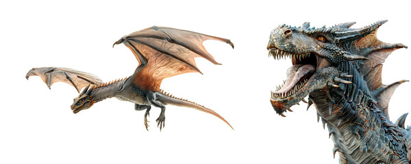 Close up and flying dragon set in full body, Isolated on Transparent Background, PNG © Giu Studios