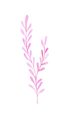 Coral isolated on white background. Watercolor illustration of a sea plant in pink color, single element. Nautical theme design and packaging, cute style