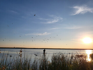 sunrise on the lake with birds