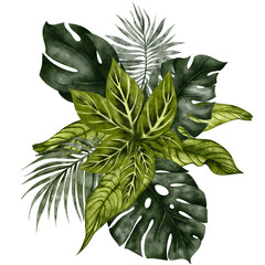 Watercolor hand draw tropical bouquet, exotical flowers, tropic butterfly, isolated on transparent background © марина васильева