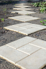 Obraz premium Perspective of concrete paving slabs on cottage garden ground.