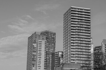 Fototapeta premium Rotterdam in den Niederlanden