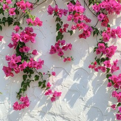 White Wall With Pink Flowers