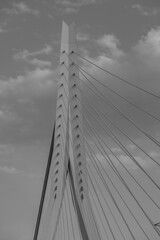 Obraz premium Rotterdam in den Niederlanden