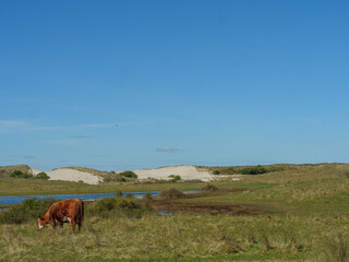 Ameland in den Niederlanden