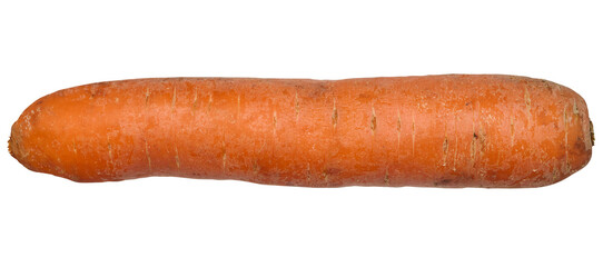 Whole raw carrot on white isolated background