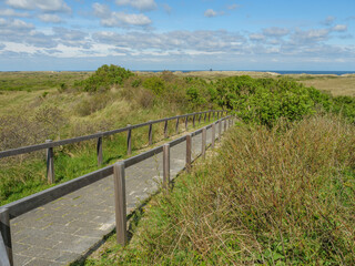 Fototapeta premium Die Insel Ameland im Frühling