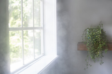 Steamy bathroom interior with window and house plant on shelf.