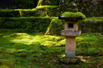 An old stone lantern placed in a moss-covered Japanese garden