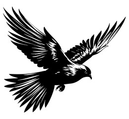 Obraz premium Bird in flight, showing expansive wings and detailed feathers. vector illustration against white background 