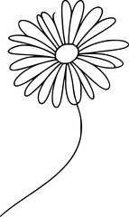white flower illustration flower svg simple minimalist art rustic no background vector