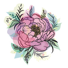 Peony flower with black outline print