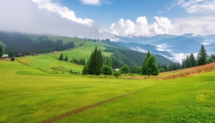 foggy summer landscape with green rural field in the alps with beautiful fresh green mountain pastures and mountain tops in the background rich harvest concept creative image carpathian mountains