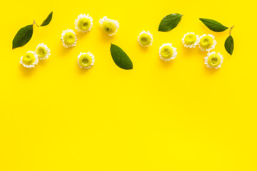 Floral pattern with white and yellow chamomile flowers, top view