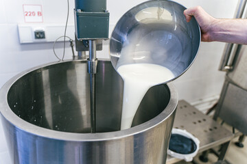 Milk is poured into a container for making ricotta cheese, mozzarella. Selected Focus