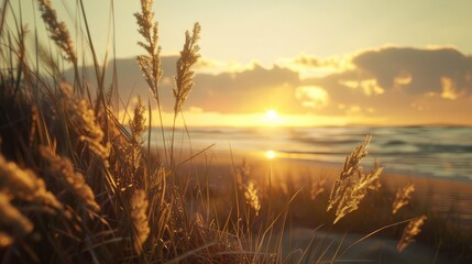 Fototapeta premium Golden Hour on the Shore