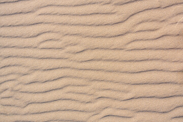 Clean golden sand windblown into curved ripples, as a tropical nature beach background
